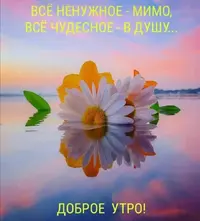 Screenshot_20210427_091250.webp