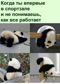 20210506_105350.webp