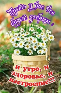 IMG-20210428-WA0002.webp