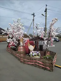 Screenshot_20210506_192744.webp