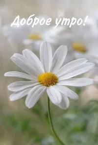d208a447688c739c2907d823d3f3b8cd.webp