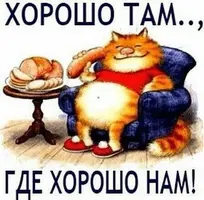 IMG-3ae7d4308bdd32b470bdd5f49cf5ca63-V.webp