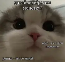 20210507_115221.webp