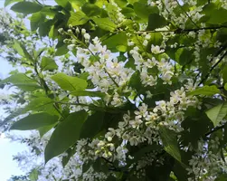 IMG_20210507_101425.webp