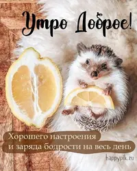 IMG-e50f598322f67740651290fcd3c16c14-V.webp