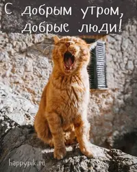 c11405934ba5731ab423f75e9de8af3f.webp