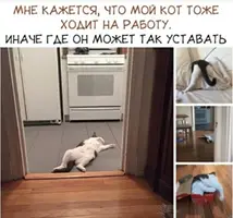 20210508_105133.webp