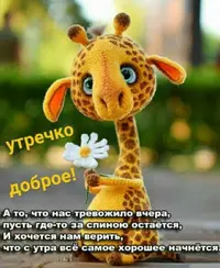 Screenshot_20210508_100641.webp