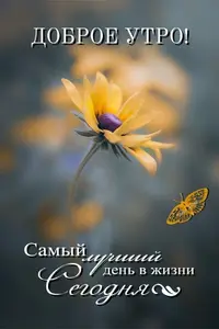 449d169d6d2f33a42c67dd1a1aa79b47.webp