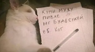 20210509_115113.webp