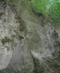 Screenshot_20210505-173810_OK.webp