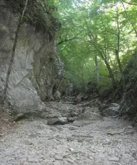 Screenshot_20210505-173822_OK.webp