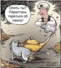 IMG-c0fab22215c2527dd356b6da7b3d219d-V.webp