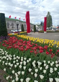 IMG_20210509_142206.webp