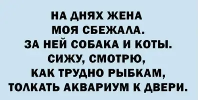 20210509_174349.webp
