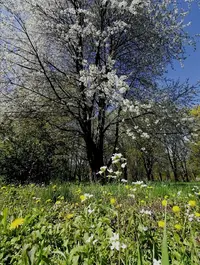 Screenshot_20210509_170425.webp