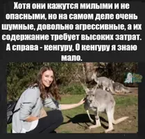 IMG-9e9f007bd6de94a7f3108cf583adc4de-V.webp