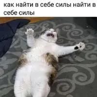 KIGqPLwRiYk.webp