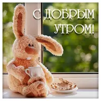 23830c885beff1306613c5a82661cb11.webp