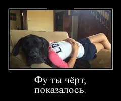 demotivatory_23.webp