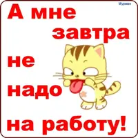 2812035438.webp