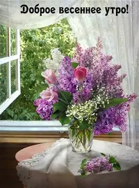 IMG-20210511-WA0003.webp