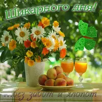 BM2PCz062yY.webp