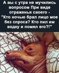 Screenshot_20210511_075045.webp