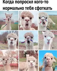 IMG-d6654b20679f93aee6a7b6d6b4797825-V.webp