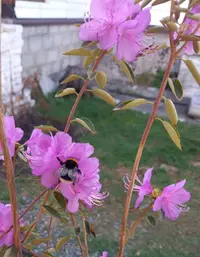 IMG-20210511-WA0005.webp
