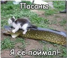 IMG-d3c5703b019d9b01c62541f4832e71d2-V.webp