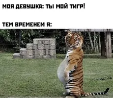 15530031.webp