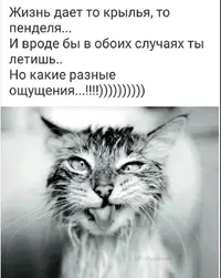Screenshot_20210508_162122.webp