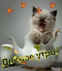 GjXF9-gap.webp