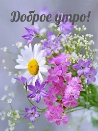 23de1ec571f07032661e286d746d7316.webp