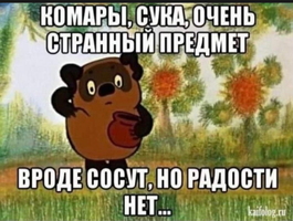 IMG_20210510_182637.webp
