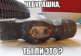 IMG-653a32f33aa4ea75e81b426e09fbc20d-V.webp