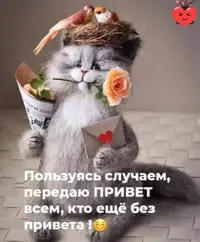 IMG-54de71a8f35851904b96f0531fed3e1f-V.webp