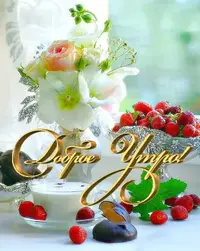 966b.webp