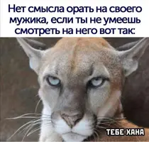 IMG-82c65b420746c04421e3e37bdcb4c462-V.webp