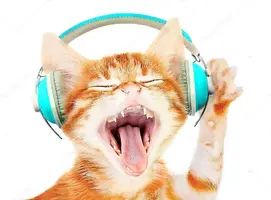 depositphotos_99821136-stock-photo-beautiful-cat-with-headphones-isolated.webp