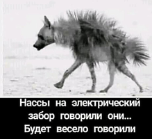 IMG_20210510_182513.webp