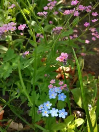 IMG_20210513_140731.webp