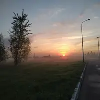 1620954095843..webp