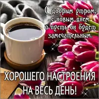 IMG-4232c8d3563140c1ce26b892d35309e8-V.webp