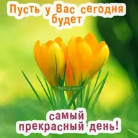 439de388416da58e71ac3d2a444a68b1.webp