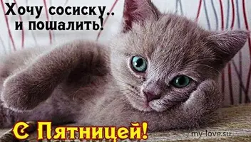 fb00afb950ade0a4225b466f7815ee4b.webp