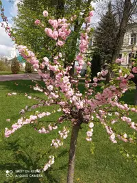 IMG_20210514_143756_compress23.webp