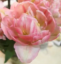 IMG_20210513_221359.webp