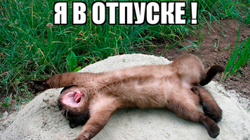 0e7ef9b5e2a1d628ee408e578ffd40f3.webp